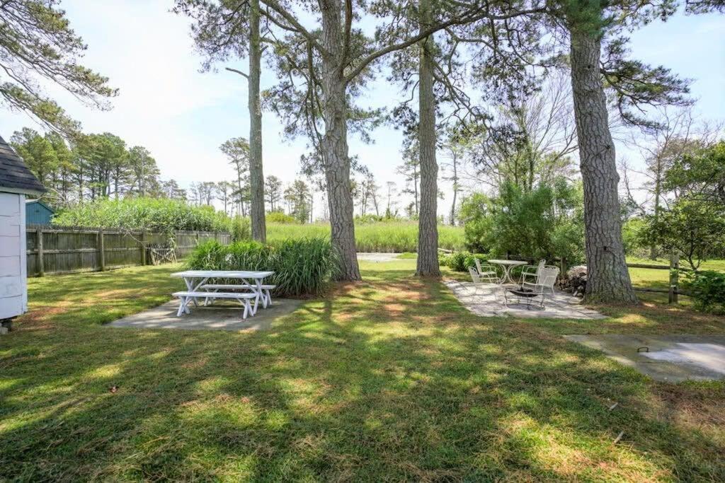 W Private Creek, Sunroom, Fire Pit, & Wifi