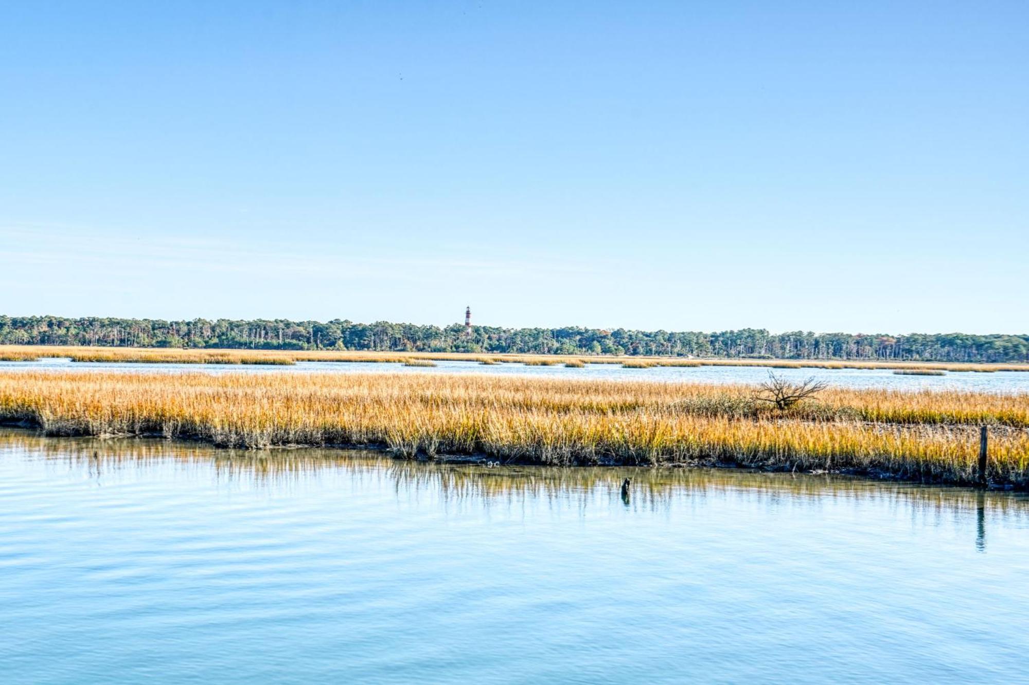 Piney Island Paradise - Waterfront With Pier & Patio! Holiday home *