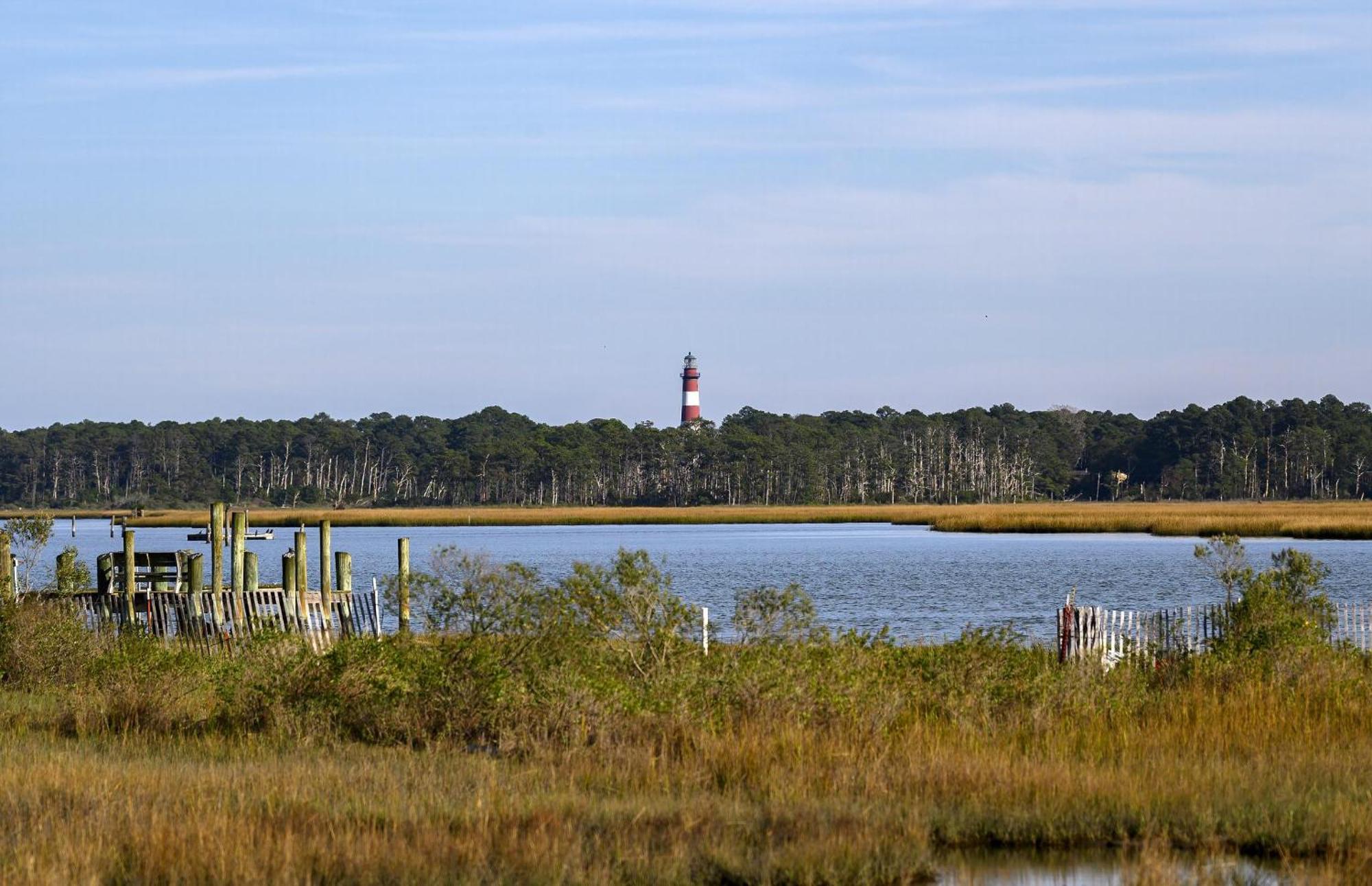 Sea Treasure * Chincoteague