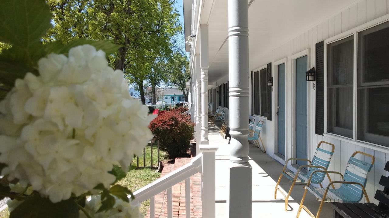Sea Shell Motel *