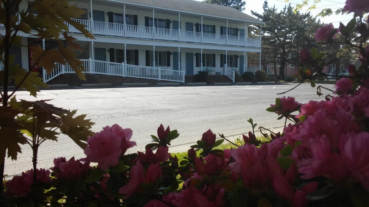 Sea Shell Motel Chincoteague