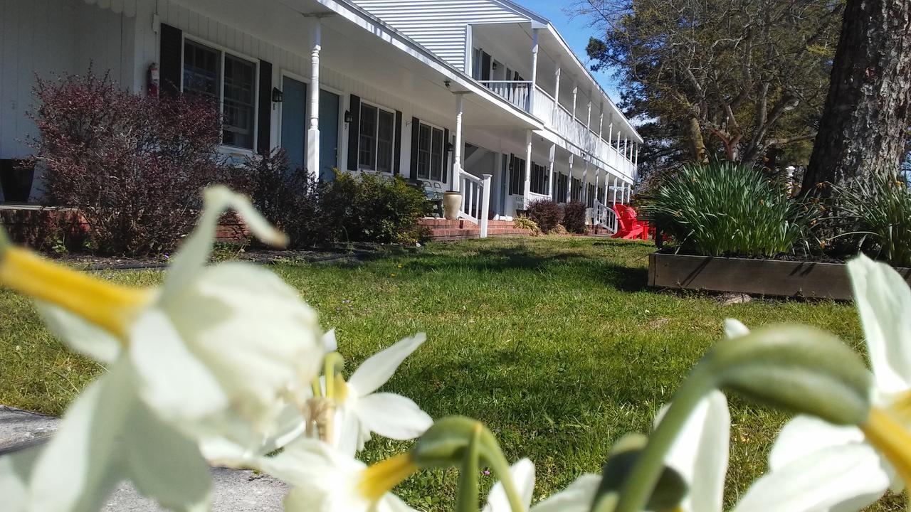 Sea Shell Motel