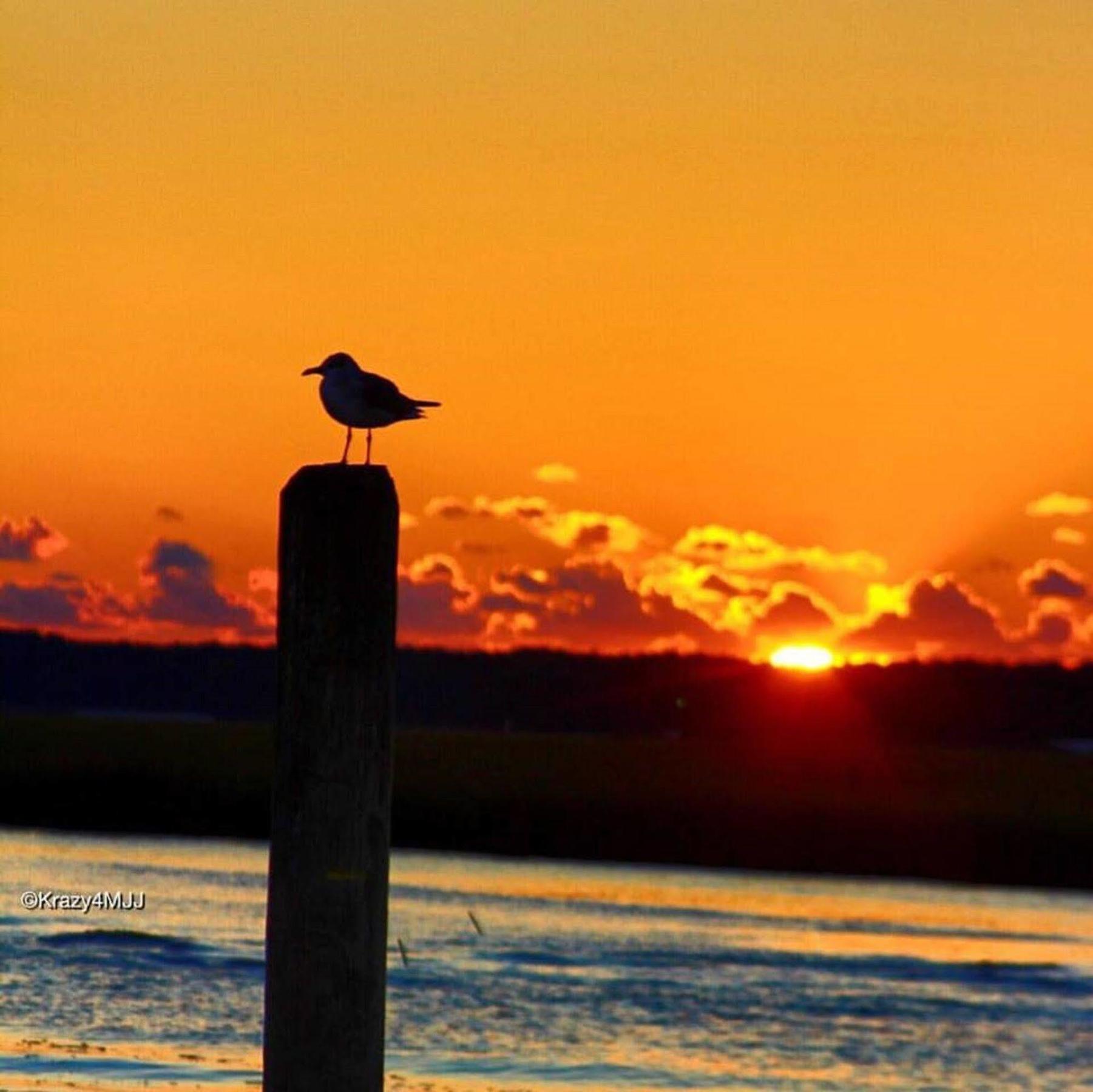Snug Harbor Marina And Chincoteague