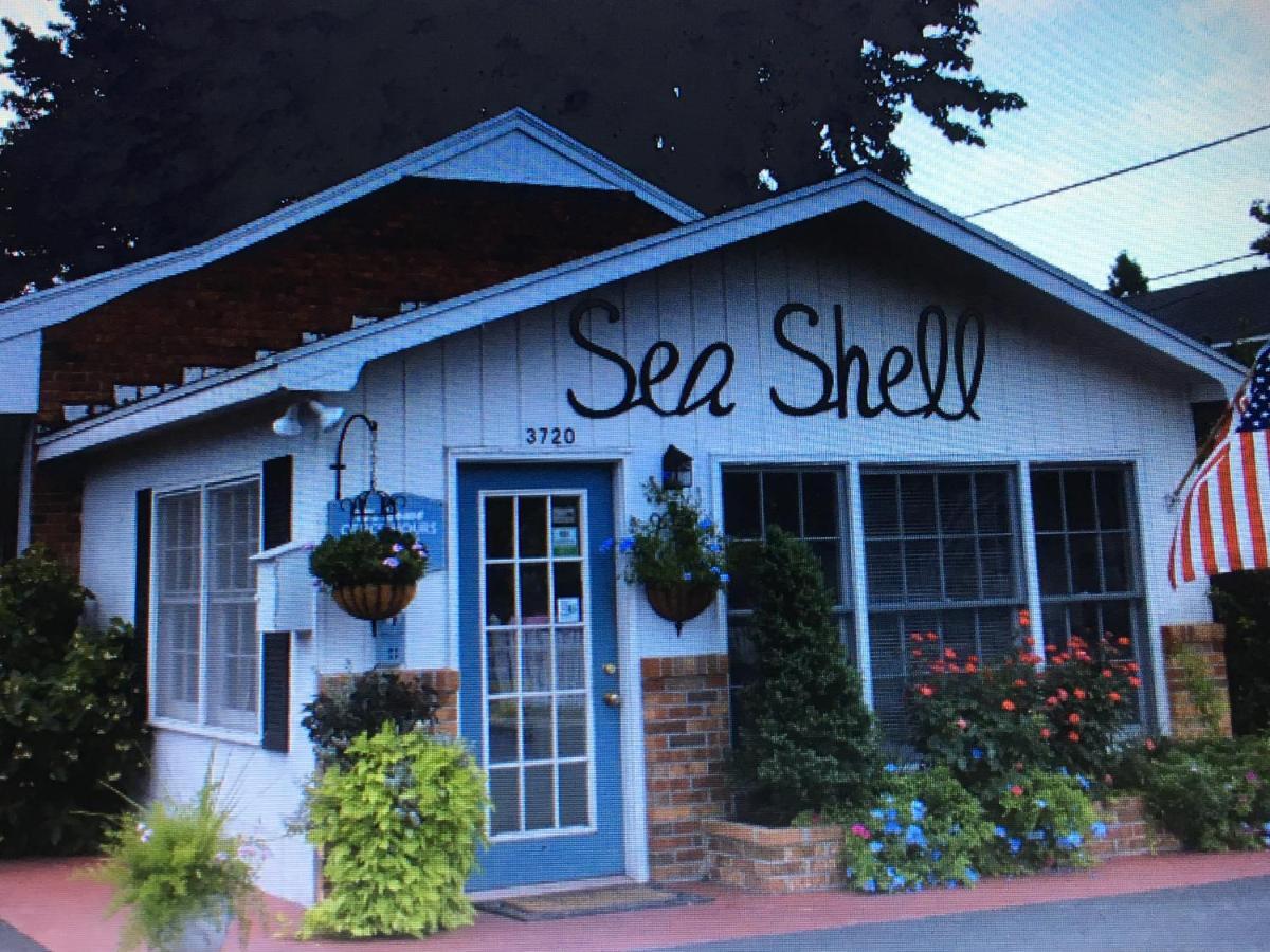 Sea Shell *